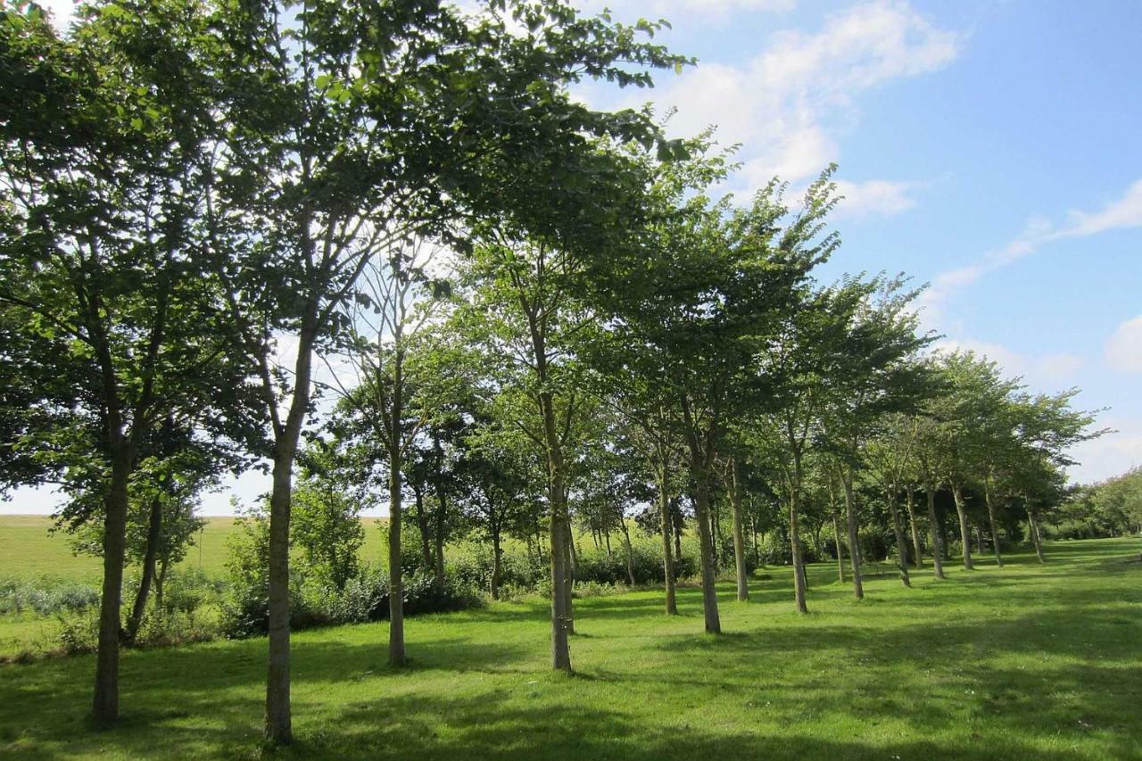 Ferienwohnung Meinfriko Friedrichskoog-Spitze Esterno foto